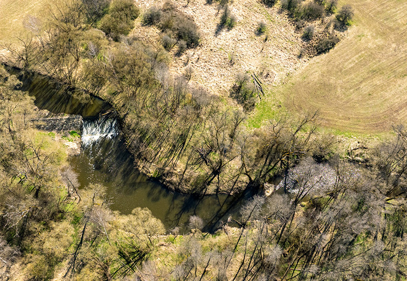 dokumentarfilm dok.film thayatal podyji film projekt grenze dreh waldviertel pisecne auwald