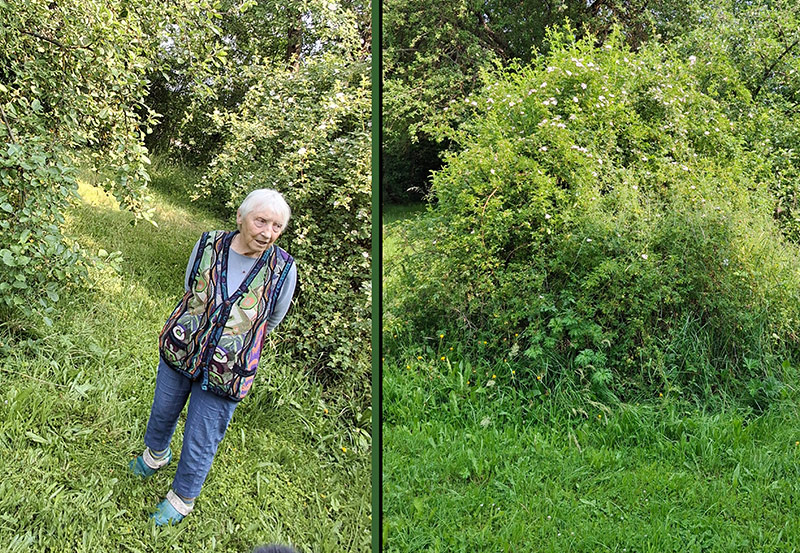dokumentarfilm dok.film thayatal podyji film projekt grenze dreh waldviertel hardegg apfelbaum