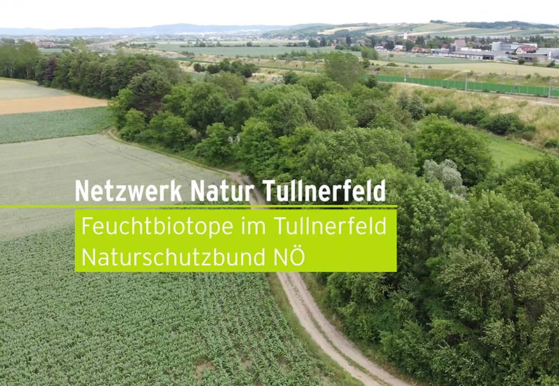 tullnerfeld naturschutzbund reportage feuchtbiotope feldgehölze