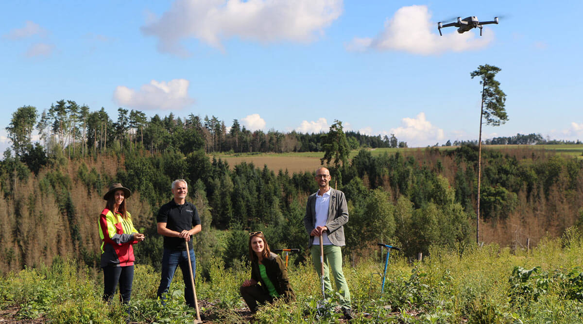 waldsetzen video teaser drone drohne waldviertel niederösterreich